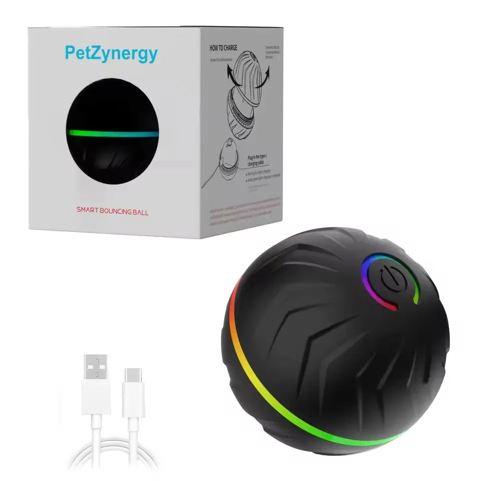 Smart Interactive Dog Ball