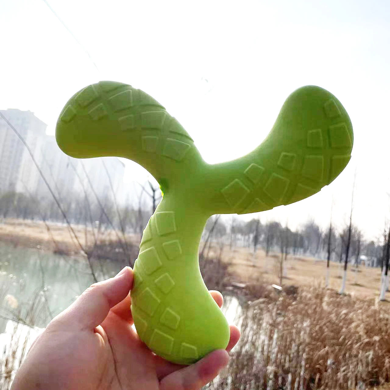 Floating Dog Frisbee Toy