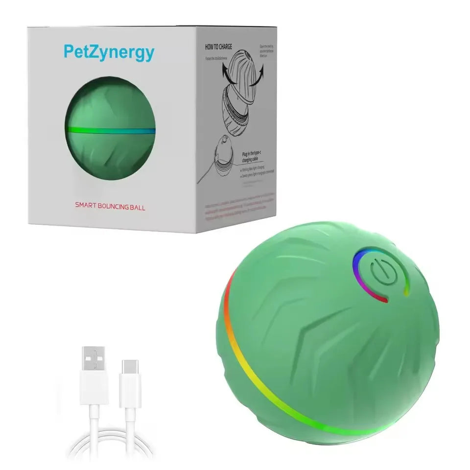Smart Interactive Dog Ball